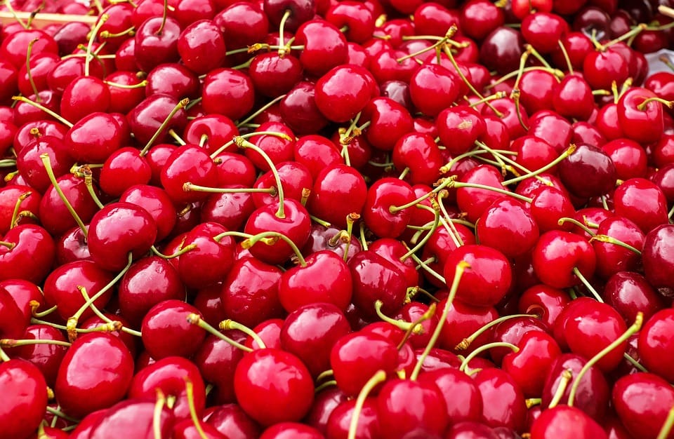 Fruit Compote