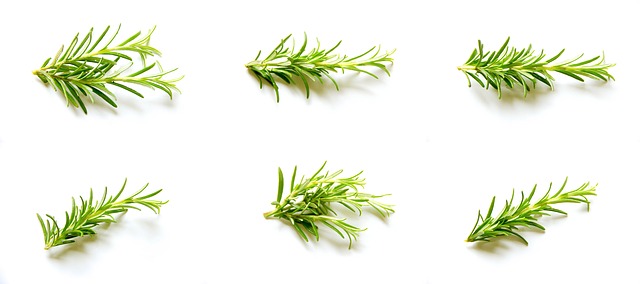 Rosemary