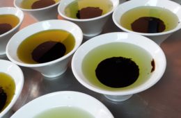 Balsamic Vinegar Dressing