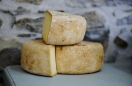 Would You Eat Sardinia’s Maggot Cheese?