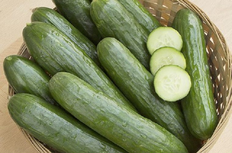 Cucumber