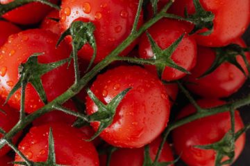 Tomato Sauce