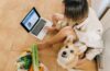 How to Prepare a Nutritious Diet for Your Dog